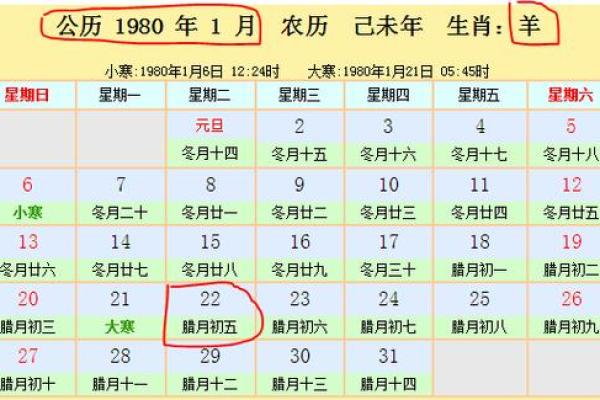 11月17日是什么星座