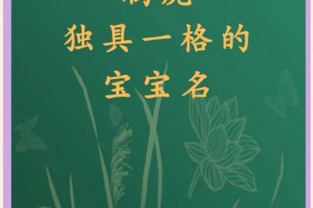中午出生的属虎男孩如何起名，适合什么字姓名