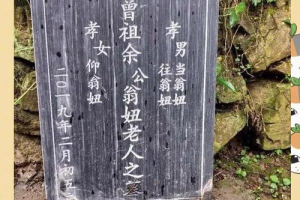 苗姓女孩名字大全-苗姓女孩起名字大全-苗姓名字大全姓名