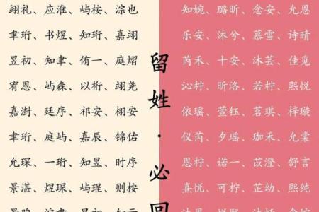 2019年5月29号丑时出生的男孩如何起名姓名