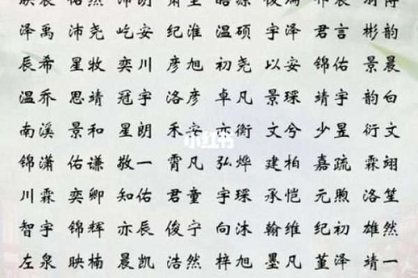 2019年3月23号卯时出生的男孩如何起名姓名