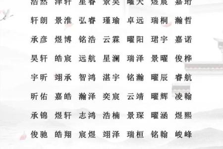 凌晨4点出生的属鸡男孩应该用什么字，取名字合适姓名
