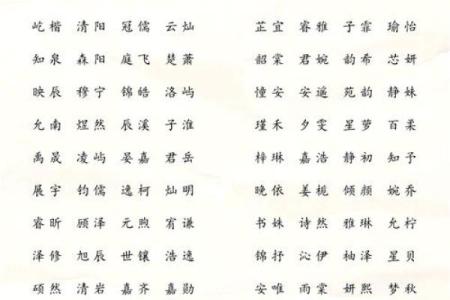 上午11点出生的属鸡男孩适合怎么样取名字姓名