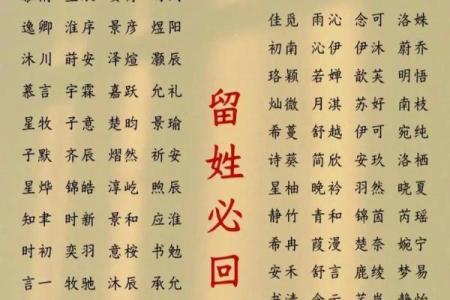 2019年3月17号申时出生的男孩应该起什么样的名字姓名
