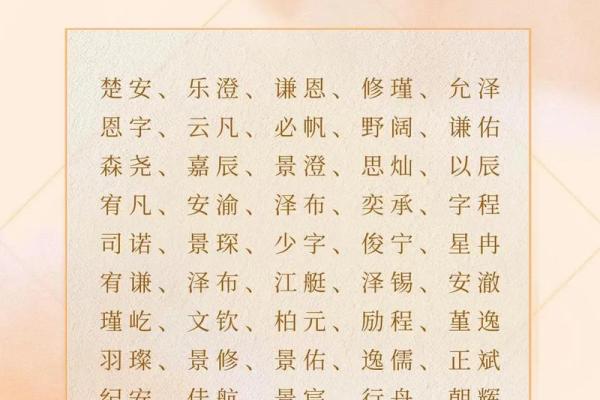 2019年6月29号子时出生的男孩起名时要注意什么姓名