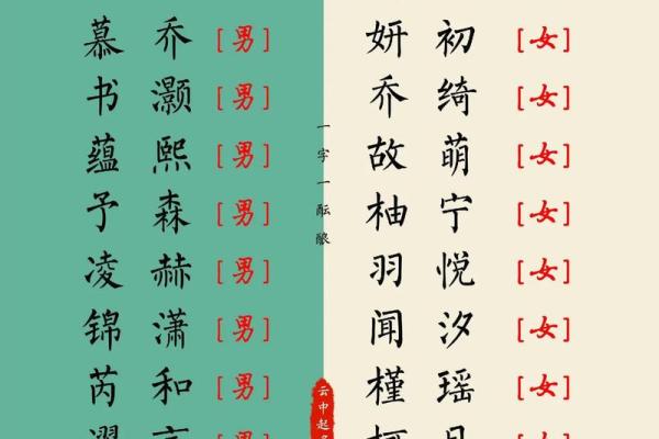 中午出生属兔的男孩应该怎么样取名字呢？姓名
