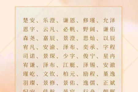 2019年6月29号子时出生的男孩起名时要注意什么姓名