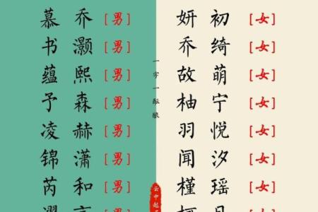 中午出生属兔的男孩应该怎么样取名字呢？姓名