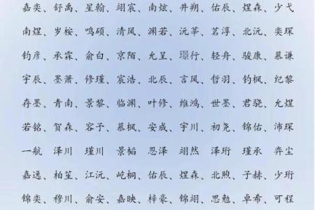 2019年4月23号卯时出生的男孩应该起什么样的名字姓名