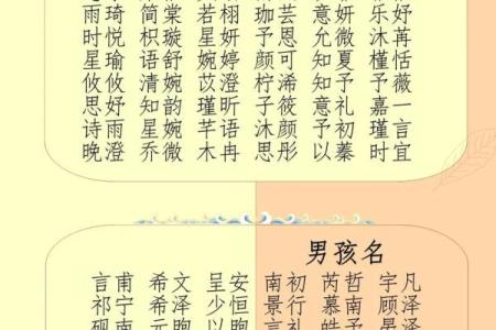 2019年6月13号丑时出生的男孩起名方法姓名