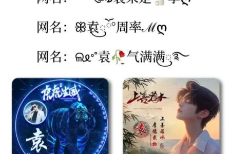 姓袁的名人-姓名学-华易算命网姓名
