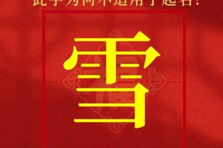 2019年大雪节气出生带雪字取名女孩名字，关于雪的唯美名字姓名