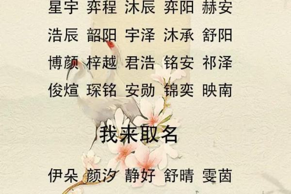 2019年4月17号子时出生的男孩应该起什么样的名字姓名