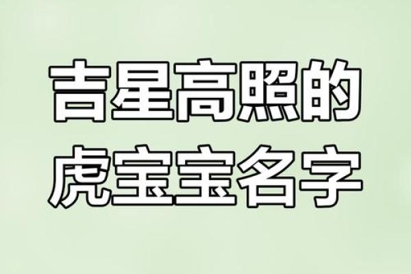 中午1点出生的属虎男孩如何起名，适合什么字姓名