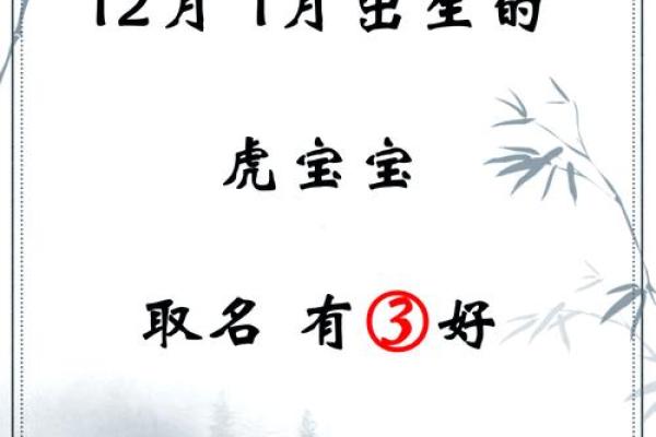 中午1点出生的属虎男孩如何起名，适合什么字姓名