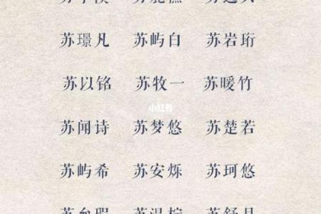 2019年6月28号卯时出生的男孩应该起什么样的名字姓名