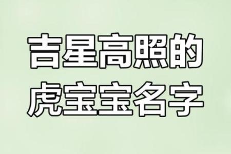 中午1点出生的属虎男孩如何起名,适合什么字姓名