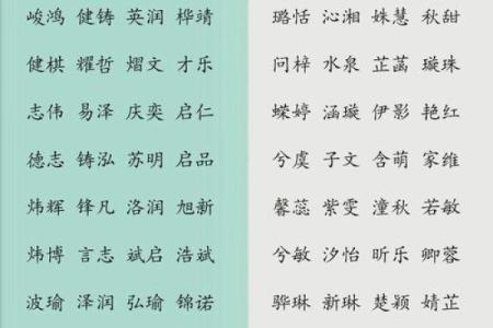 2019年5月24号卯时出生的男孩起名时要注意什么姓名