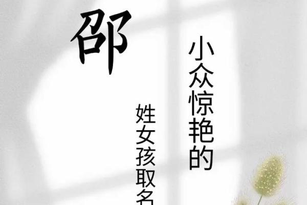 姓邵的名人-姓名学-华易算命网姓名 姓邵的名人-姓名学-华易算命网姓名