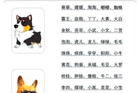 下午六点出生的属狗男孩如何取名,宜用什么字姓名