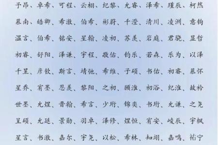 2019年4月22号寅时出生的男孩起名方法姓名