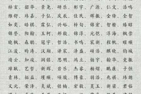 2019年3月21号午时出生的男孩要怎么起名字姓名