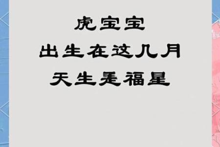 傍晚6点出生的属虎男孩如何起名,宜用什么字姓名