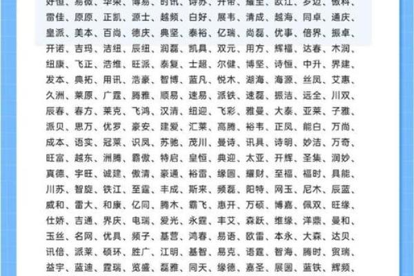 网络公司名字大全-名字大全姓名