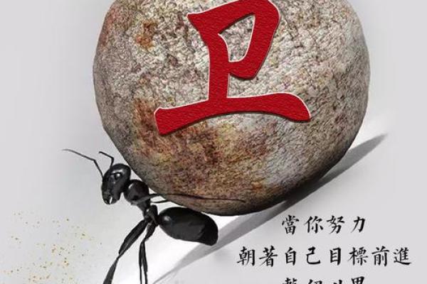 卫姓女孩名字大全-卫姓女孩起名字大全-卫姓名字大全姓名