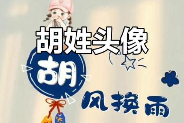 2019年出生的姓胡男孩如何起名，宜用什么字姓名
