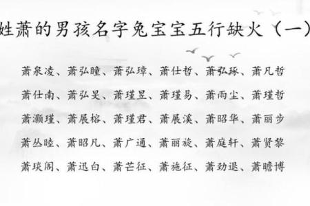 2019年3月10号子时出生的男孩如何起名姓名