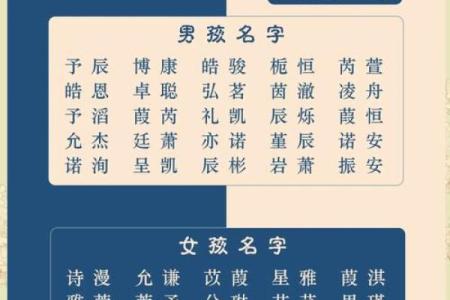 早上7点出生的属兔男孩如何取名姓名