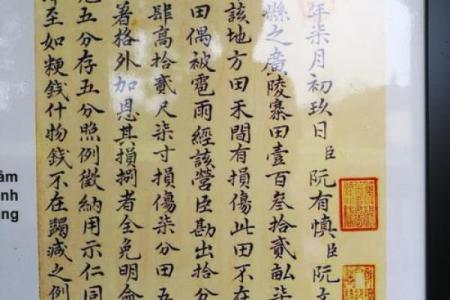 阮姓女孩名字大全-阮姓女孩起名字大全-阮姓名字大全姓名