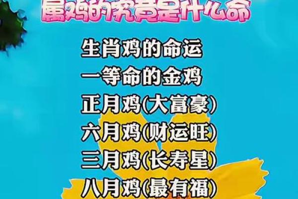 中午12点出生的属鸡男孩如何起名合适姓名