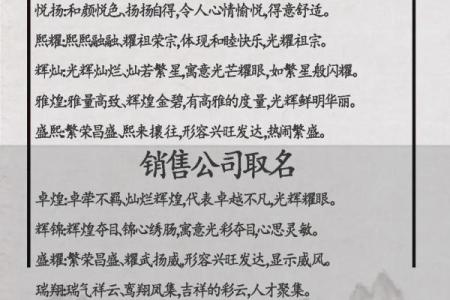 物业公司取名大全-名字大全姓名