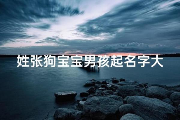 下午四点出生的属狗男孩怎么取名,用什么字好姓名 下午四点出生的属狗男孩怎么取名,用什么字好姓名