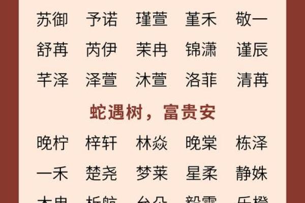 属蛇辰时出生的男孩如何取名字,适合用什么字姓名 属蛇辰时出生的男孩如何取名字,适合用什么字姓名