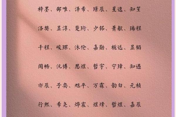 2019年3月24号辛时出生的男孩起名时要注意什么姓名 2019年3月24号辛时出生的男孩起名时要注意什么姓名