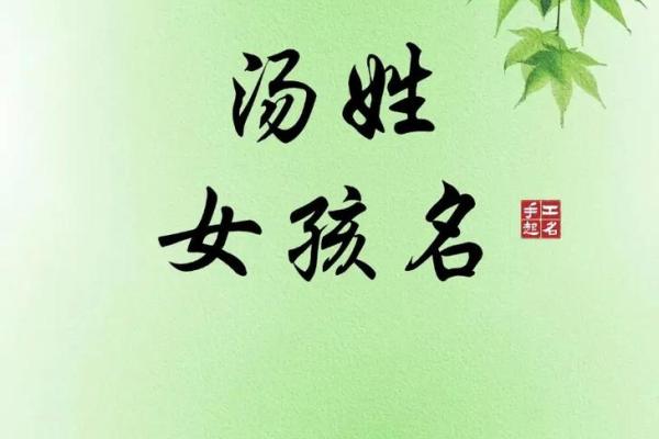 汤姓男孩名字大全-汤姓男孩起名字大全-汤姓名字大全姓名