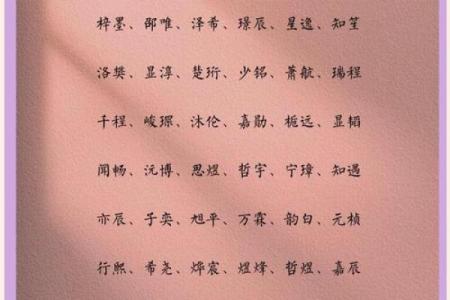 2019年3月24号辛时出生的男孩起名时要注意什么姓名