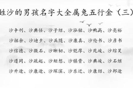 2019年6月15号卯时出生的男孩起名时要注意什么姓名