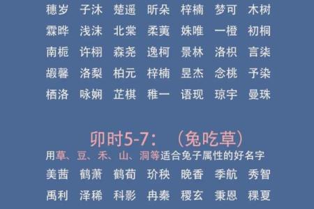 早上8点出生的属鼠男孩起名适合用什么字姓名