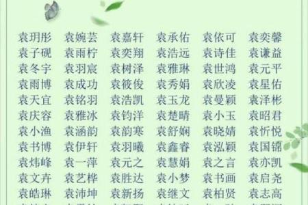 2019年3月21号酉时出生的男孩要怎么起名字姓名