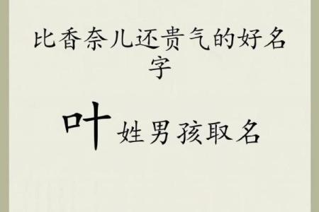 2019年3月24号巳时出生的男孩起名时要注意什么姓名
