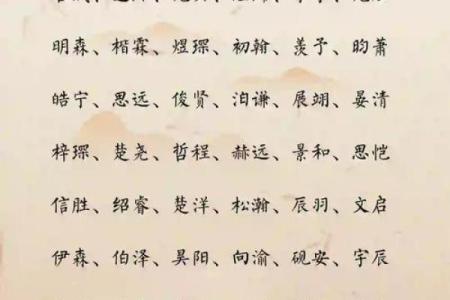 2019年5月8号卯时出生的男孩应该起什么样的名字姓名