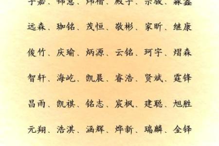2019年4月28号丑时出生的男孩要怎么起名字姓名