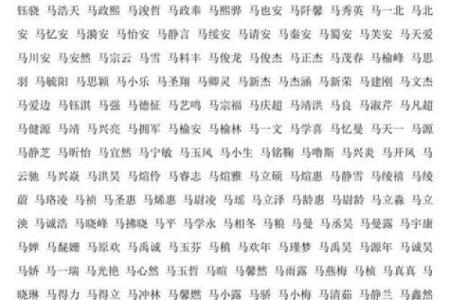 季姓男孩名字大全-季姓男孩起名字大全-季姓名字大全姓名