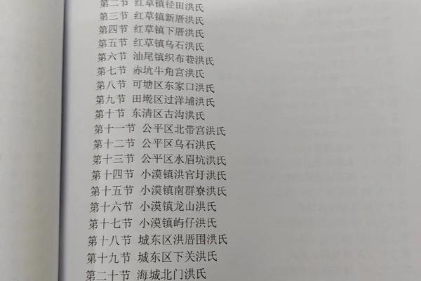 洪姓男孩名字大全-洪姓男孩起名字大全-洪姓名字大全姓名 洪姓男孩名字大全-洪姓男孩起名字大全-洪姓名字大全姓名