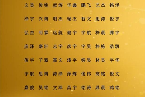 尹姓女孩名字大全-尹姓女孩起名字大全-尹姓名字大全姓名