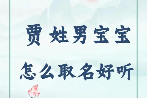 贾姓女孩名字大全-贾姓女孩起名字大全-贾姓名字大全姓名 贾姓女孩名字大全-贾姓女孩起名字大全-贾姓名字大全姓名